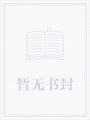 不能说的秘密封面